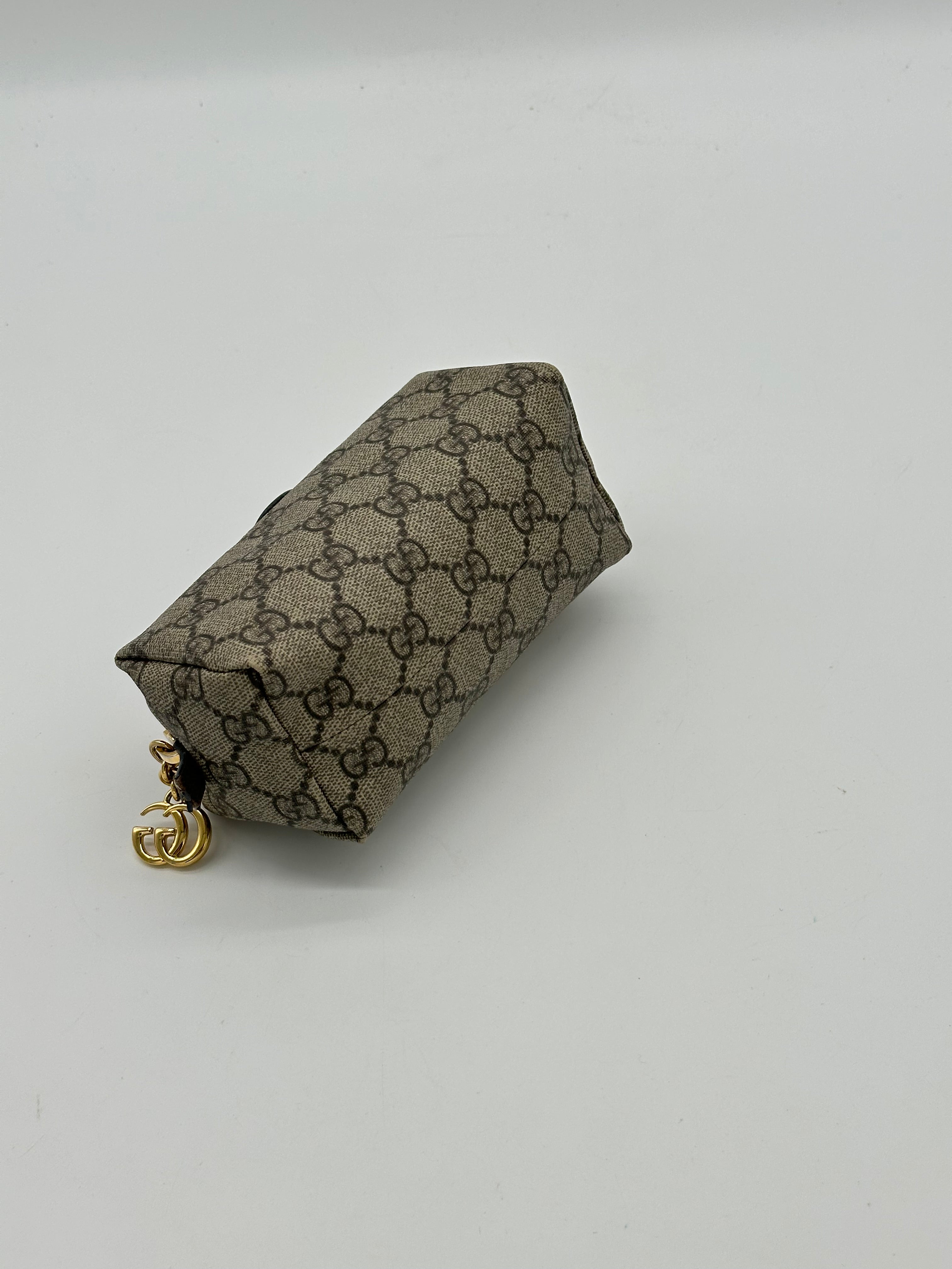 Gucci Ophidia Pouch