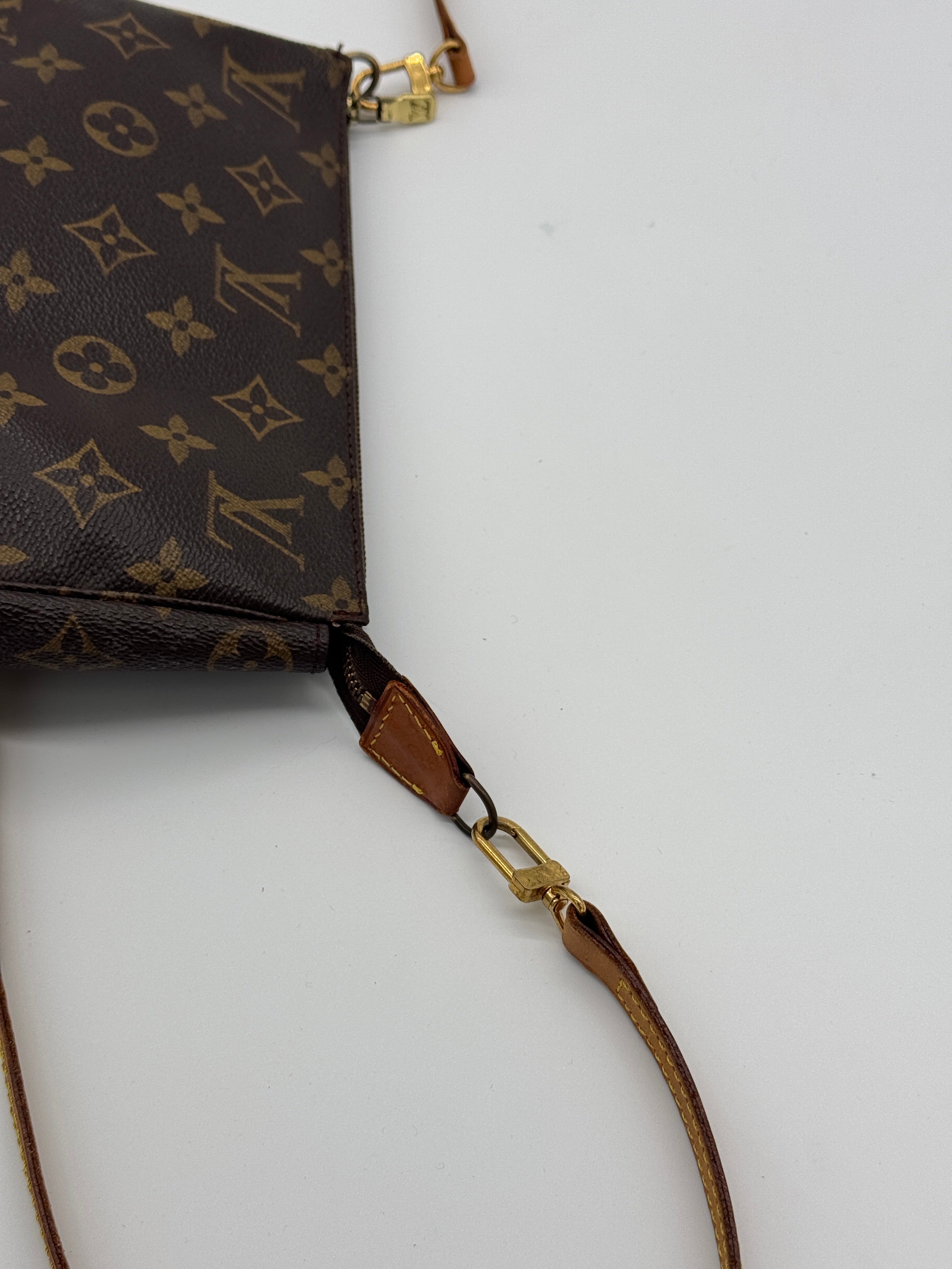 Louis Vuitton Pochette Accessoires