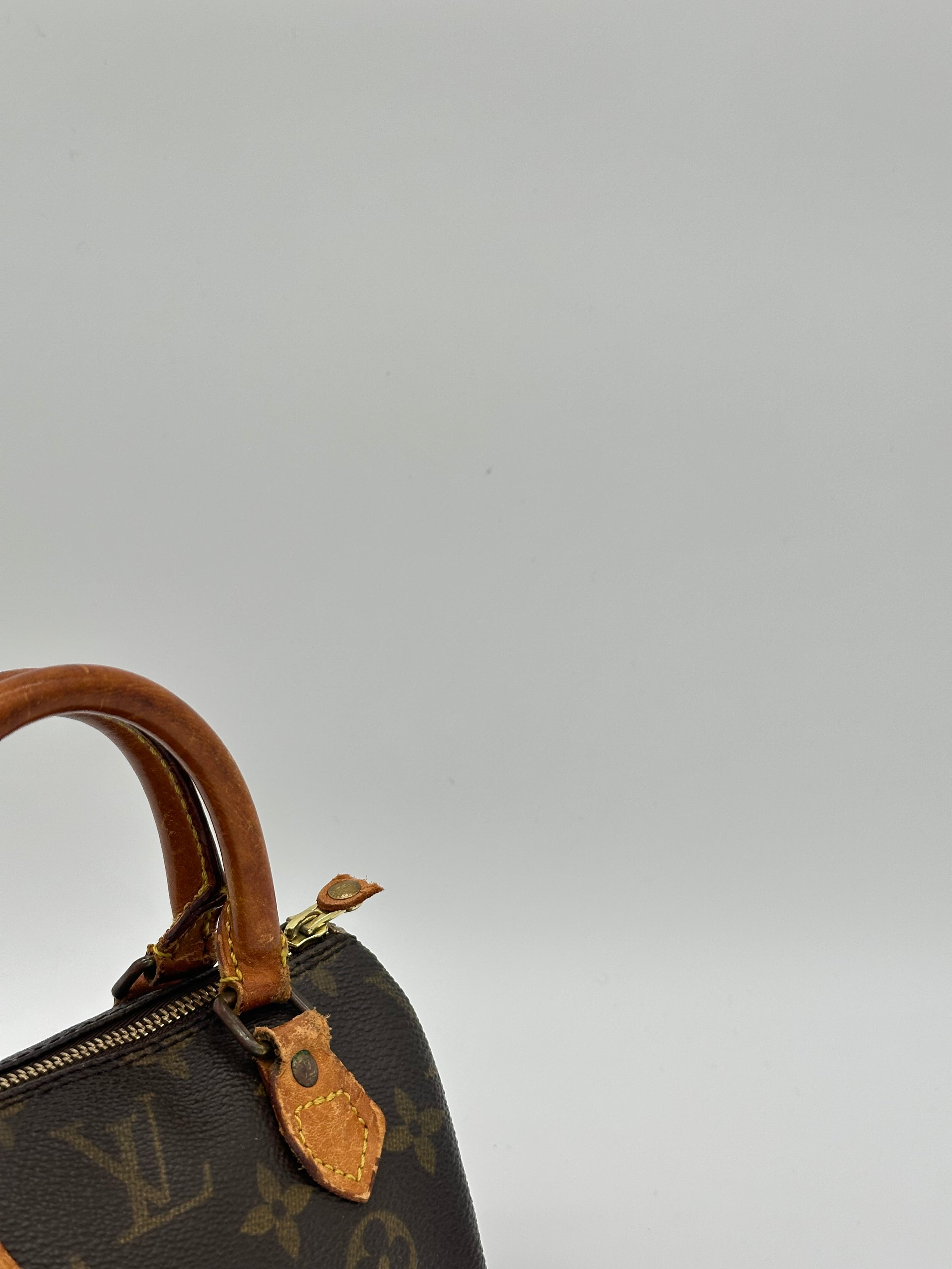 Louis Vuitton Nano Speedy