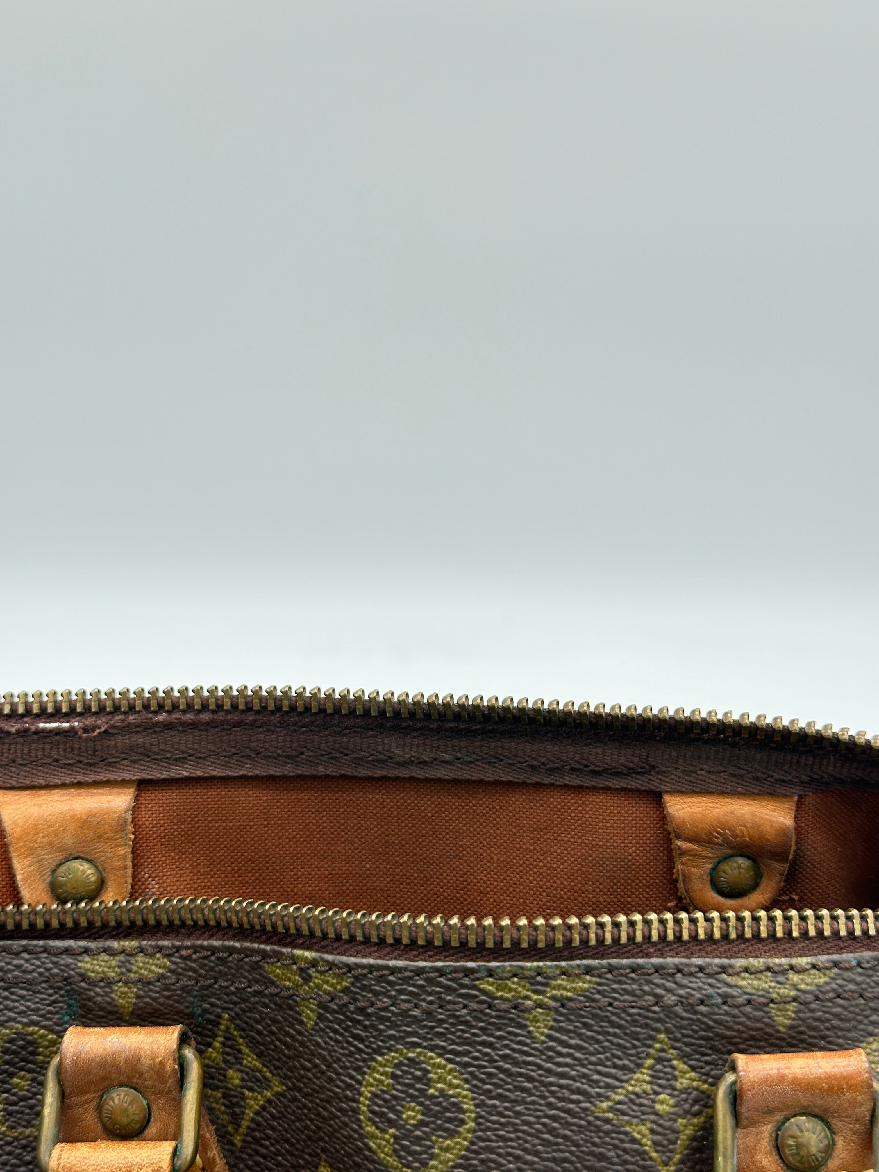 Louis Vuitton Speedy 30