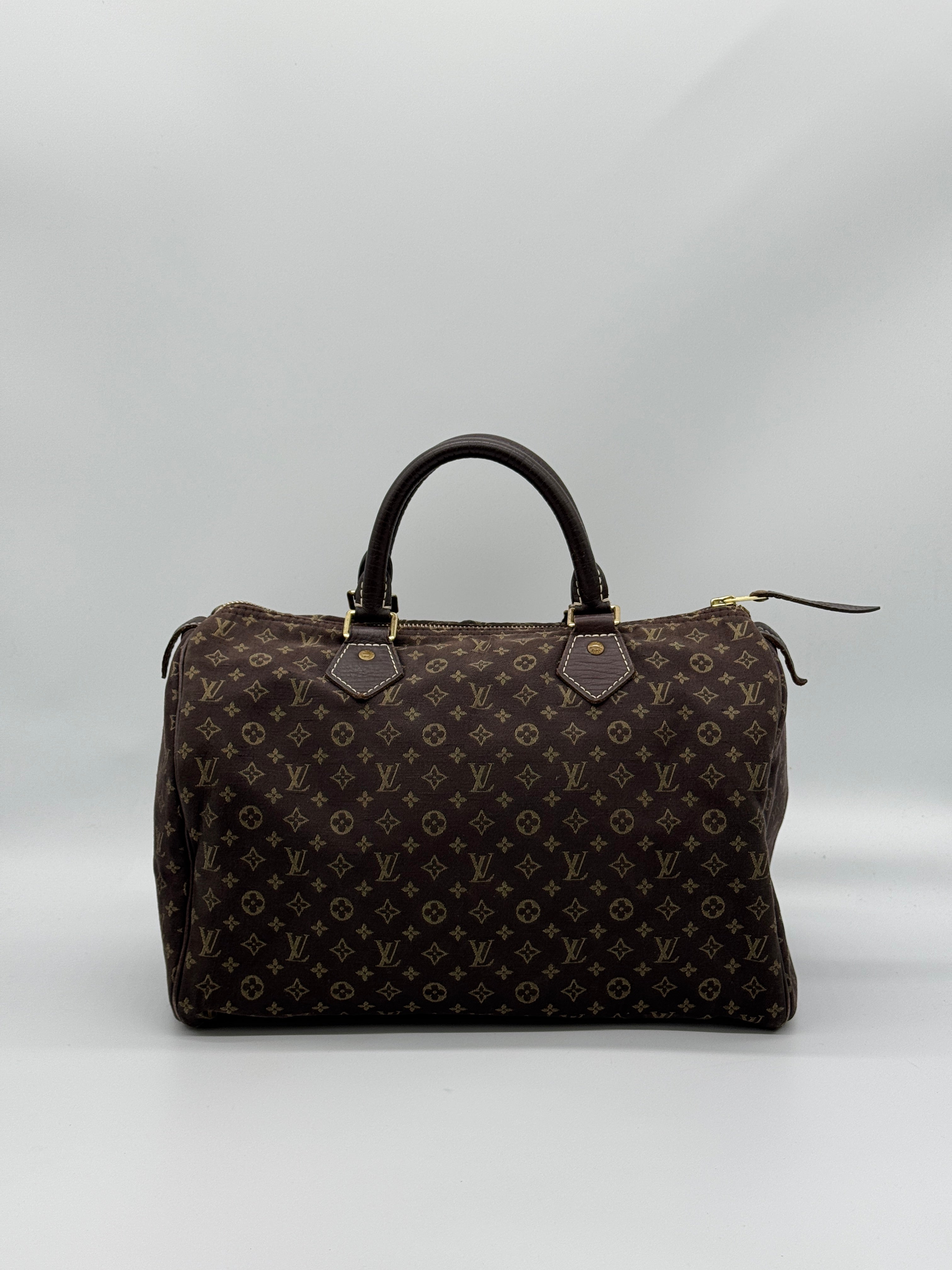 Louis Vuitton Mini Lin Speedy 30