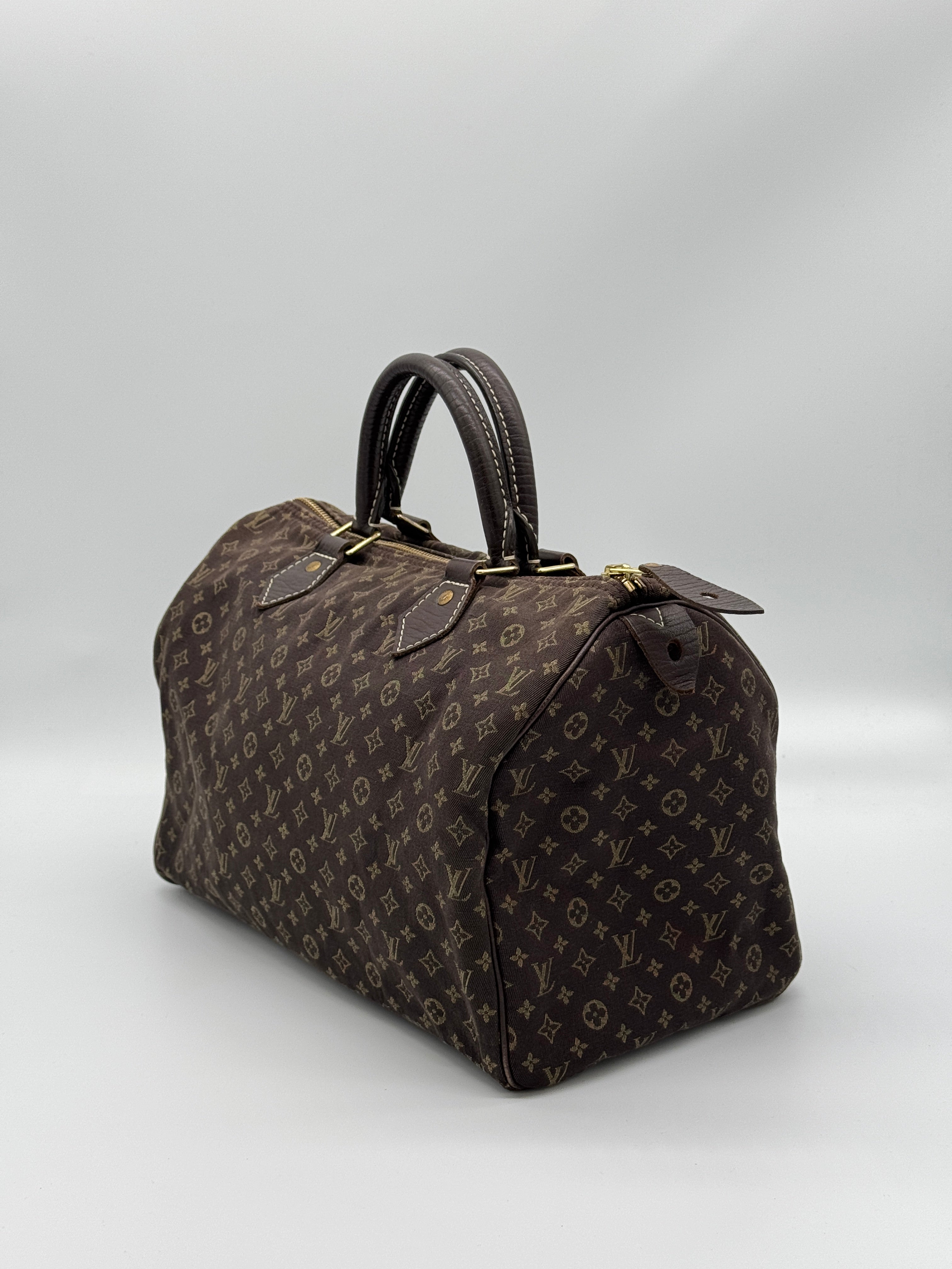 Louis Vuitton Mini Lin Speedy 30