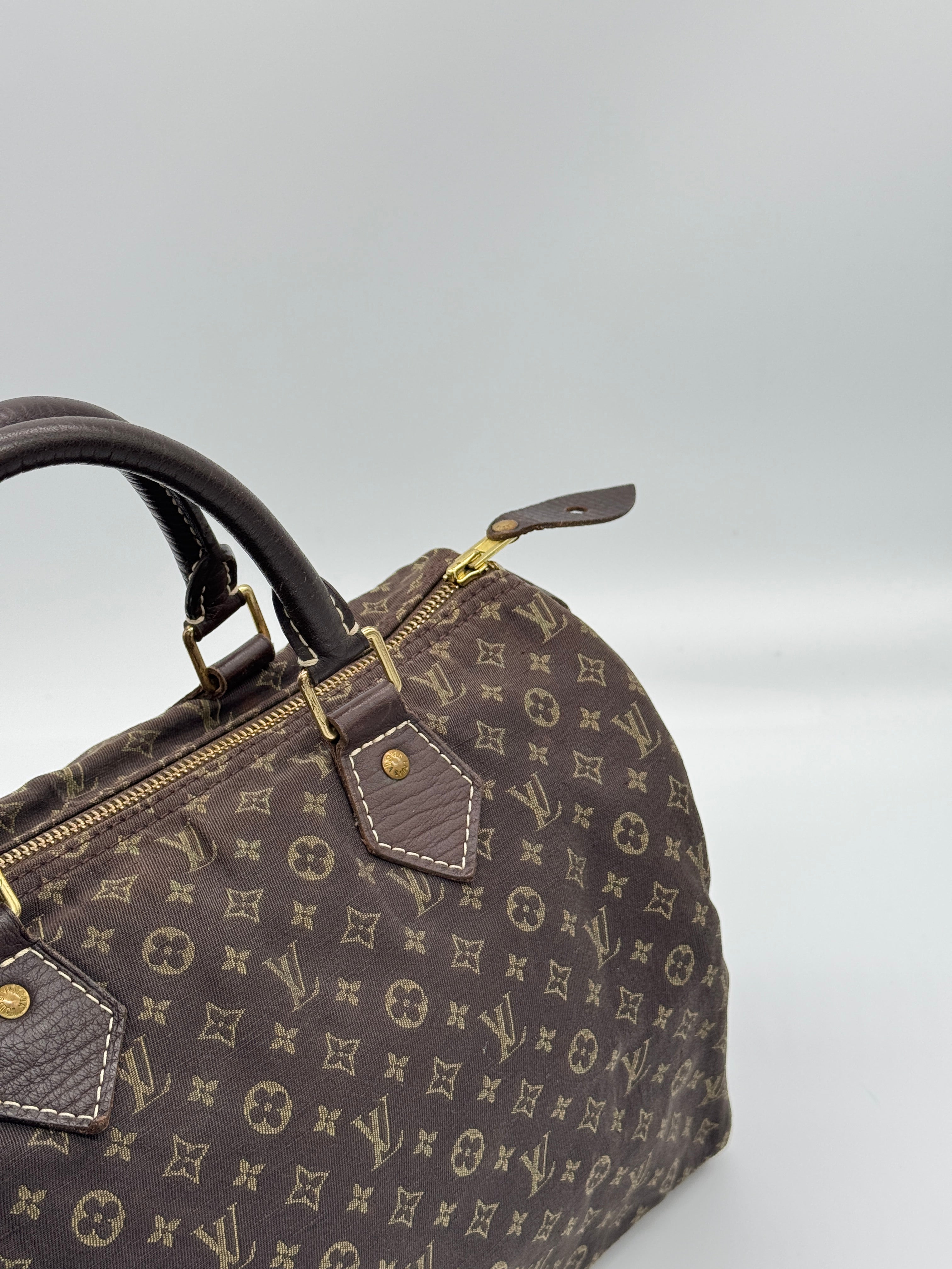 Louis Vuitton Mini Lin Speedy 30