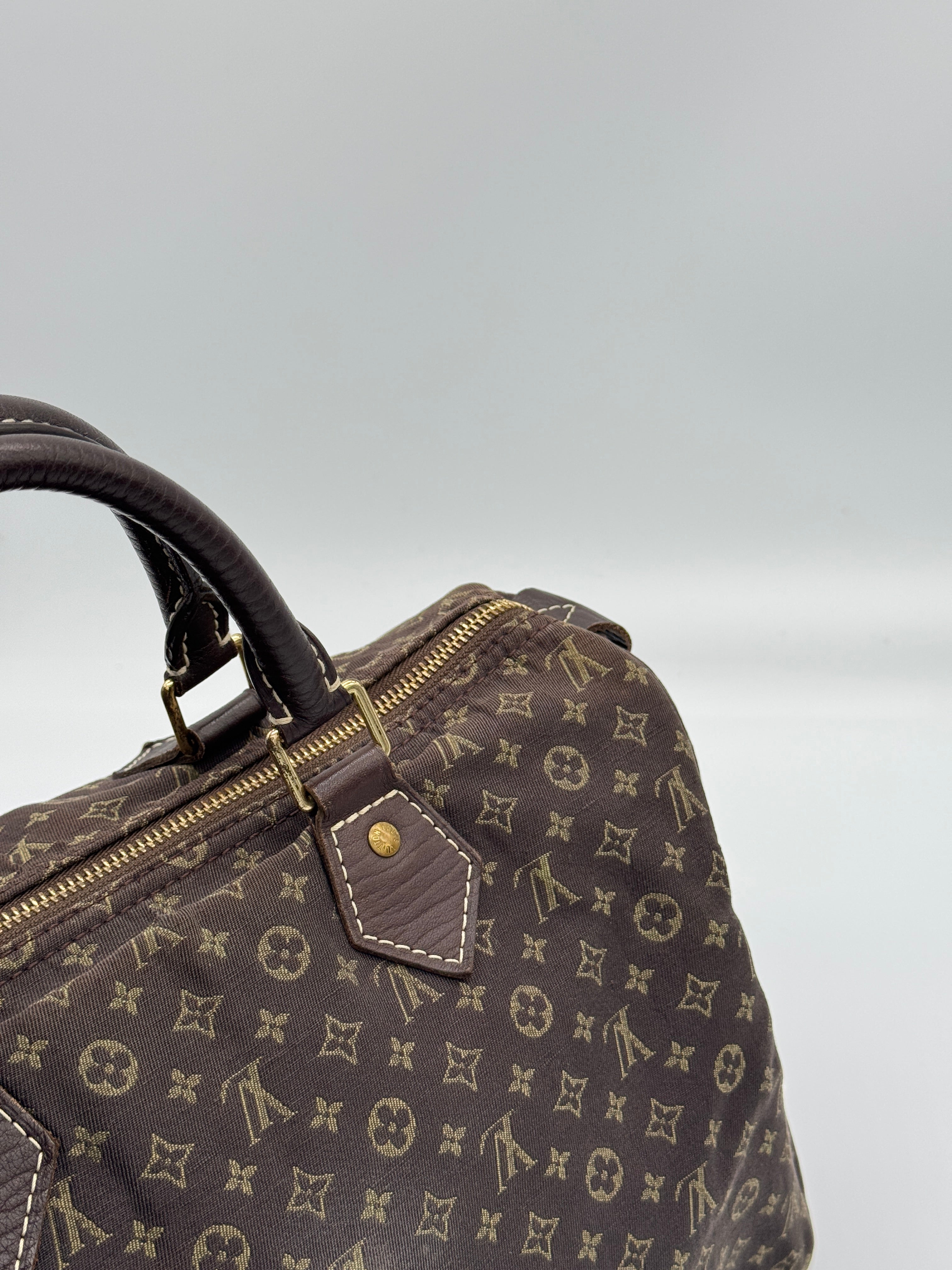 Louis Vuitton Mini Lin Speedy 30