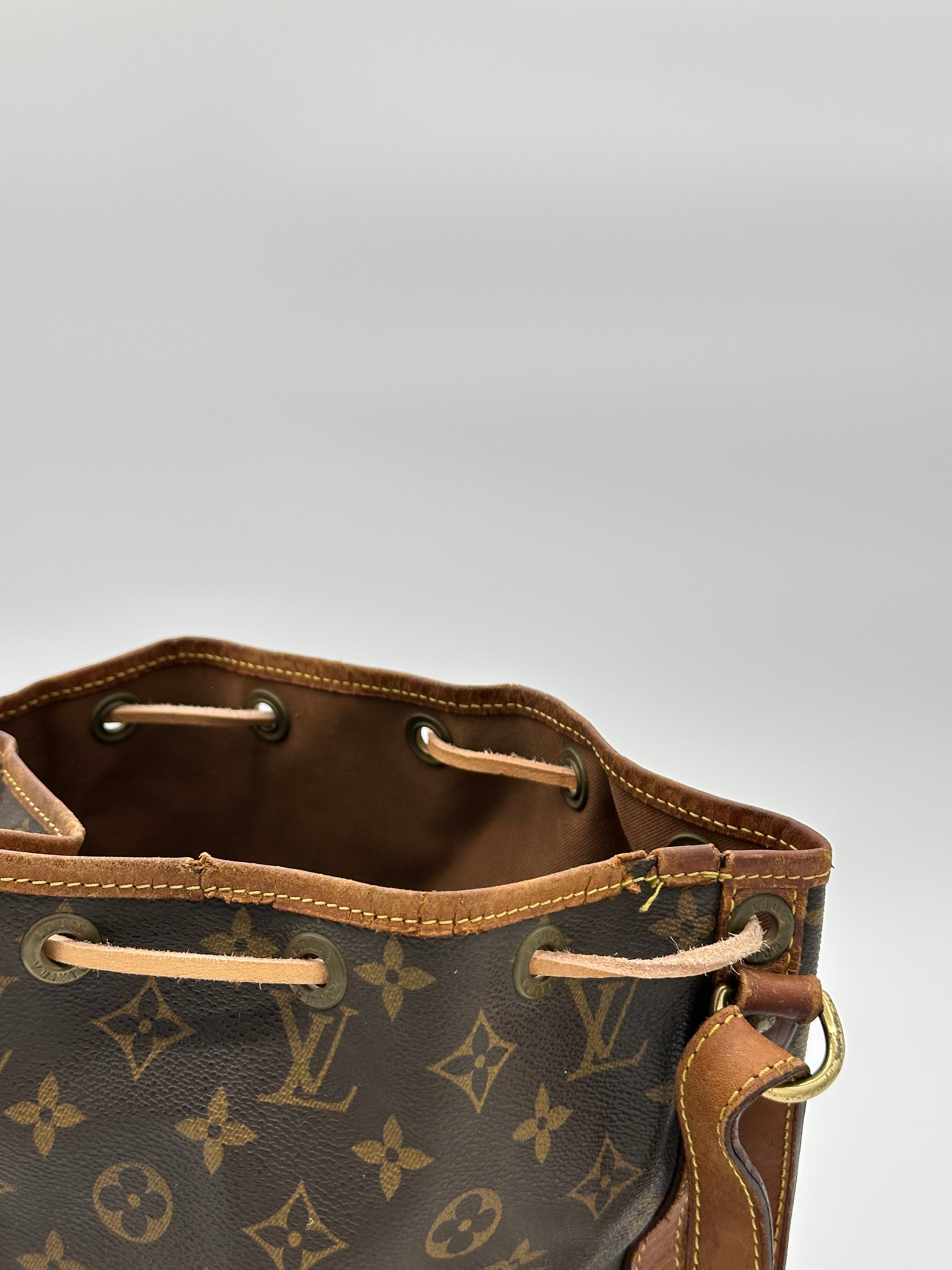 Louis Vuitton Petit Noé