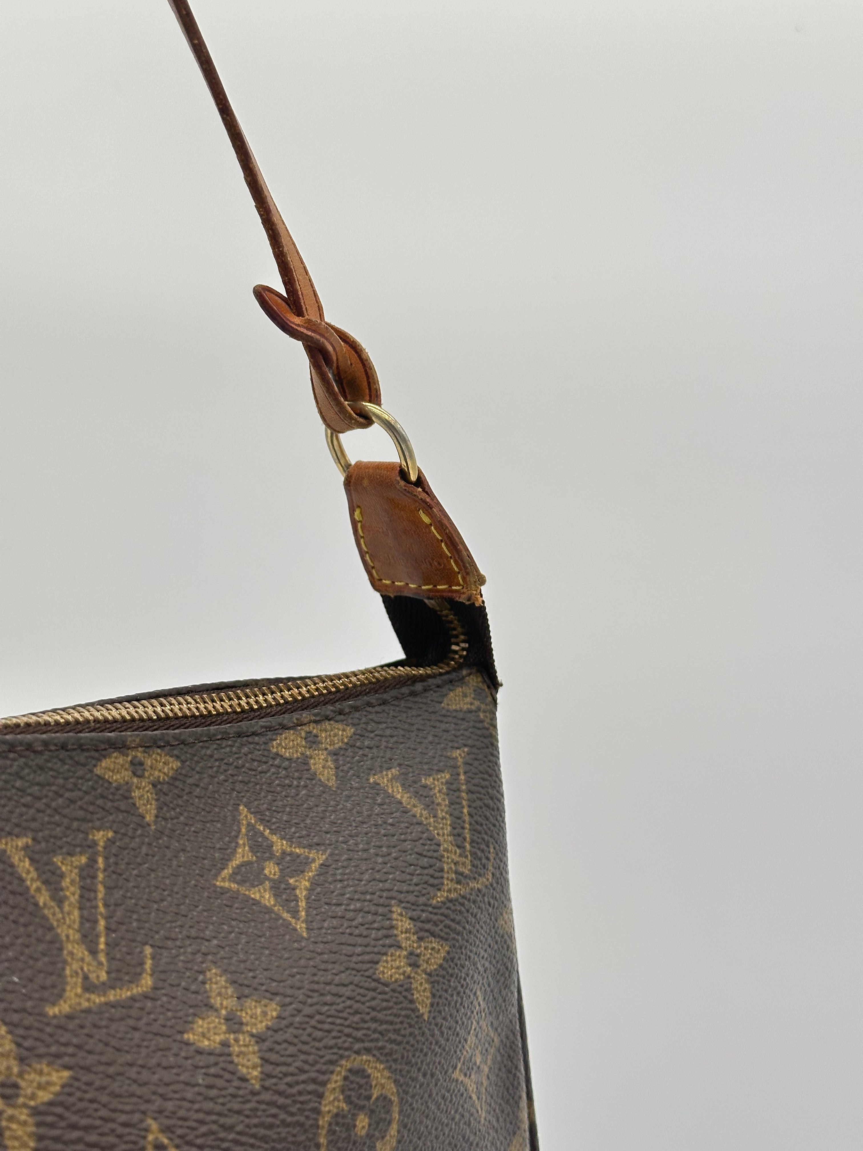 Louis Vuitton Pochette Accessoires
