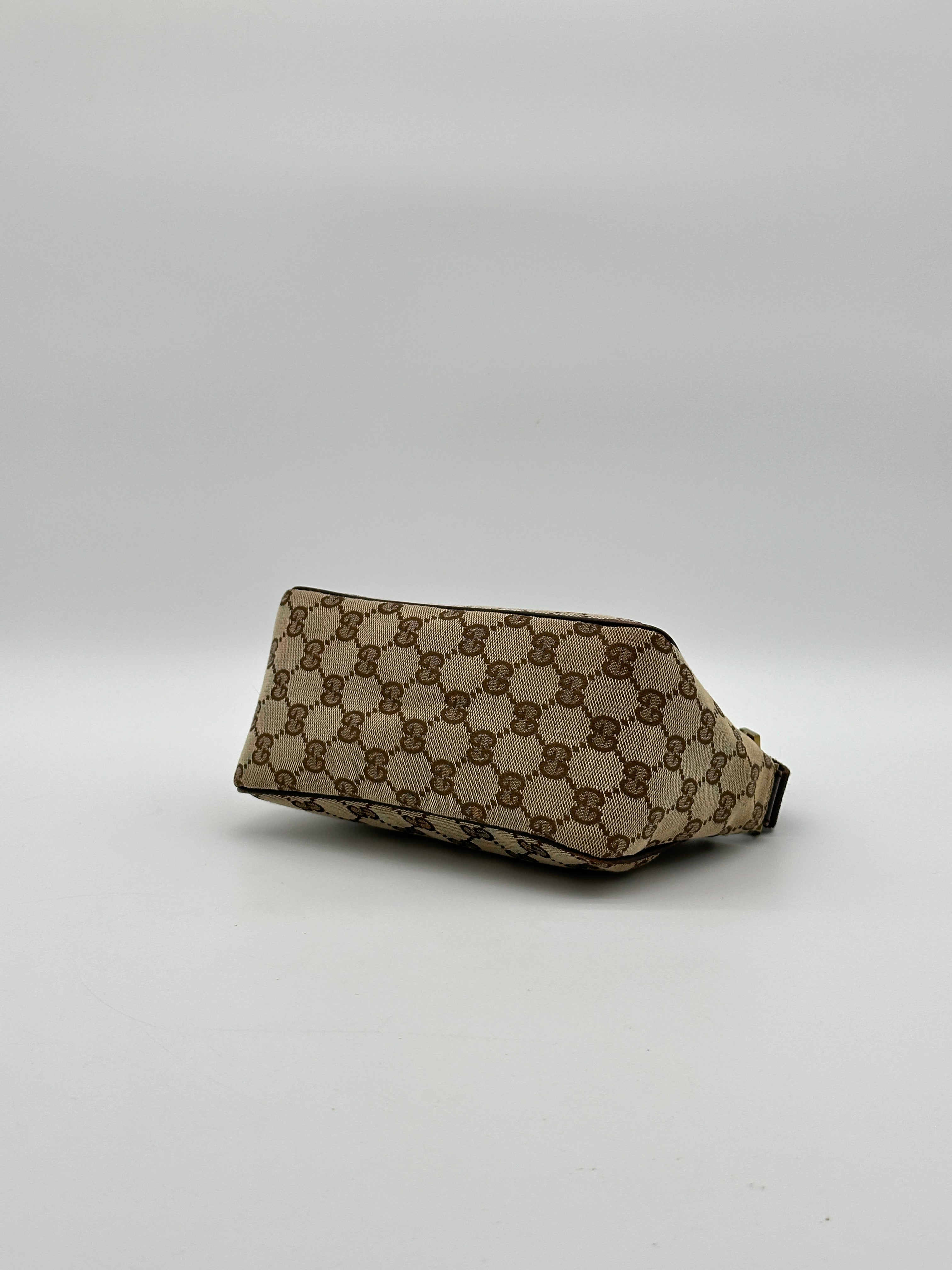 Gucci Mini Canvas