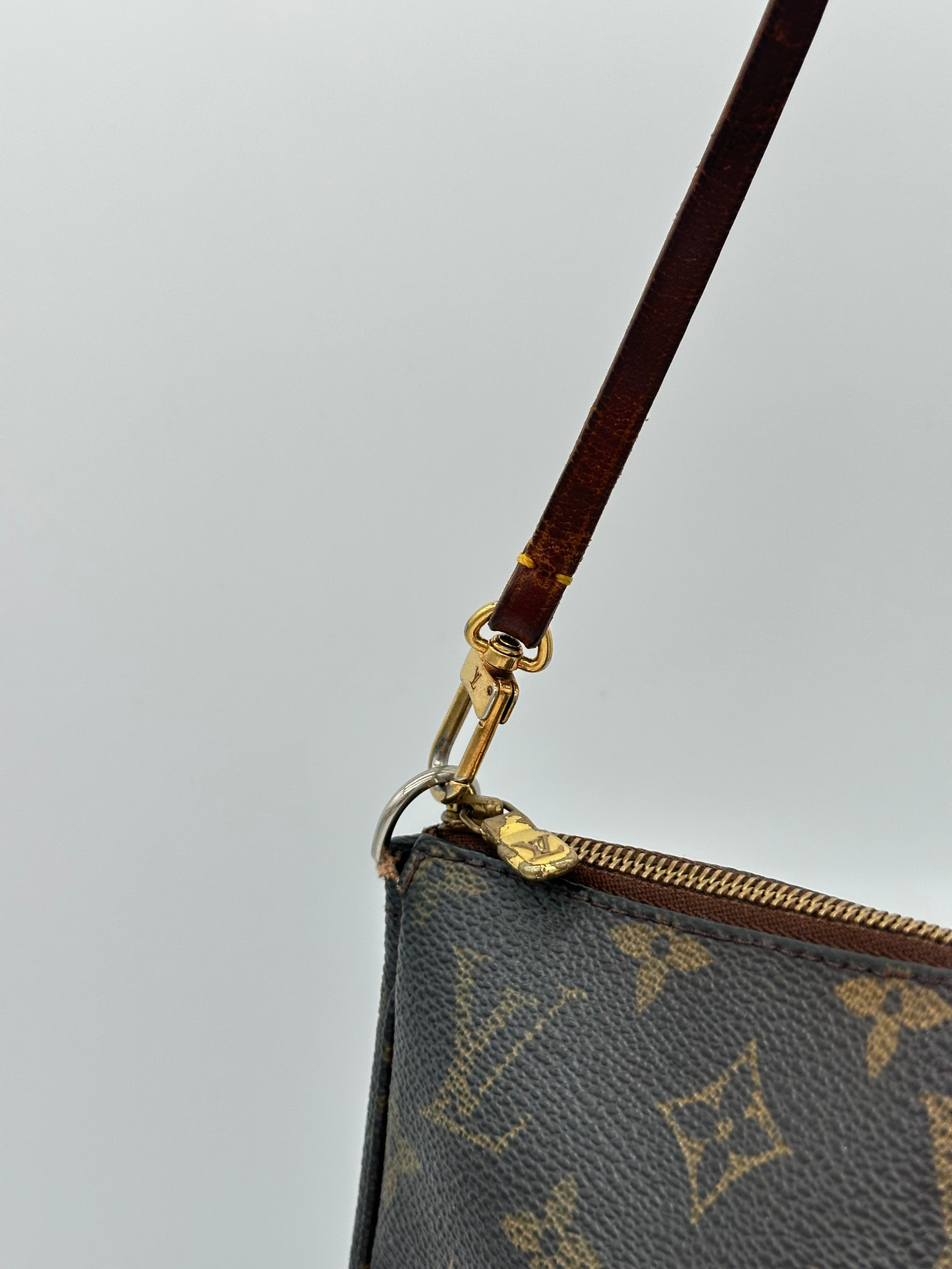 Louis Vuitton Pochette Accessoires