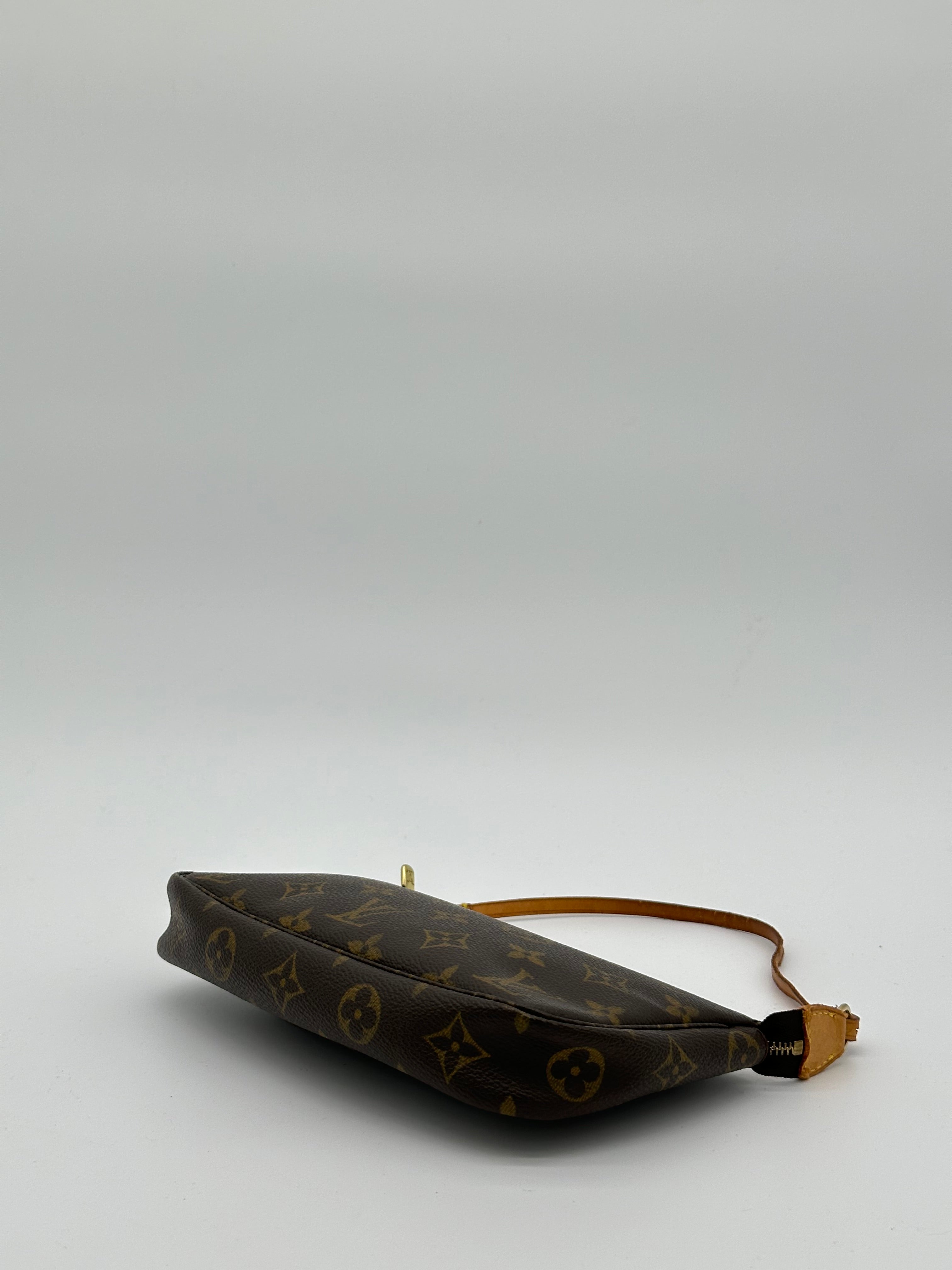 Louis Vuitton Pochette Accessoires