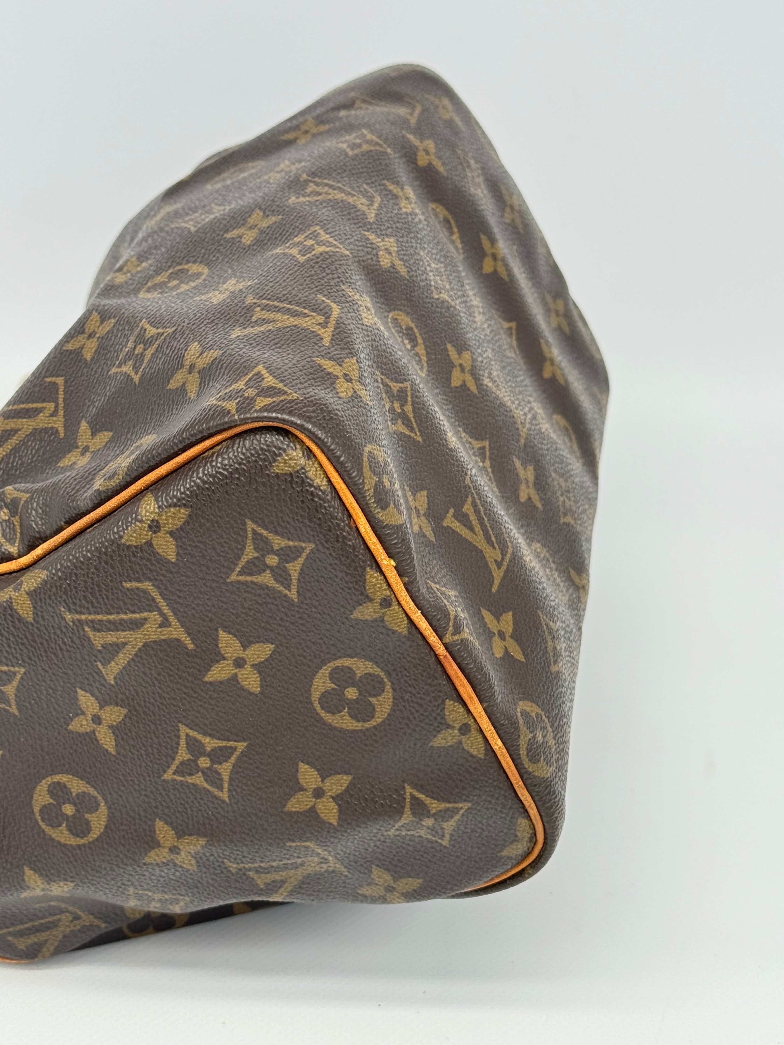 Louis Vuitton Speedy 25