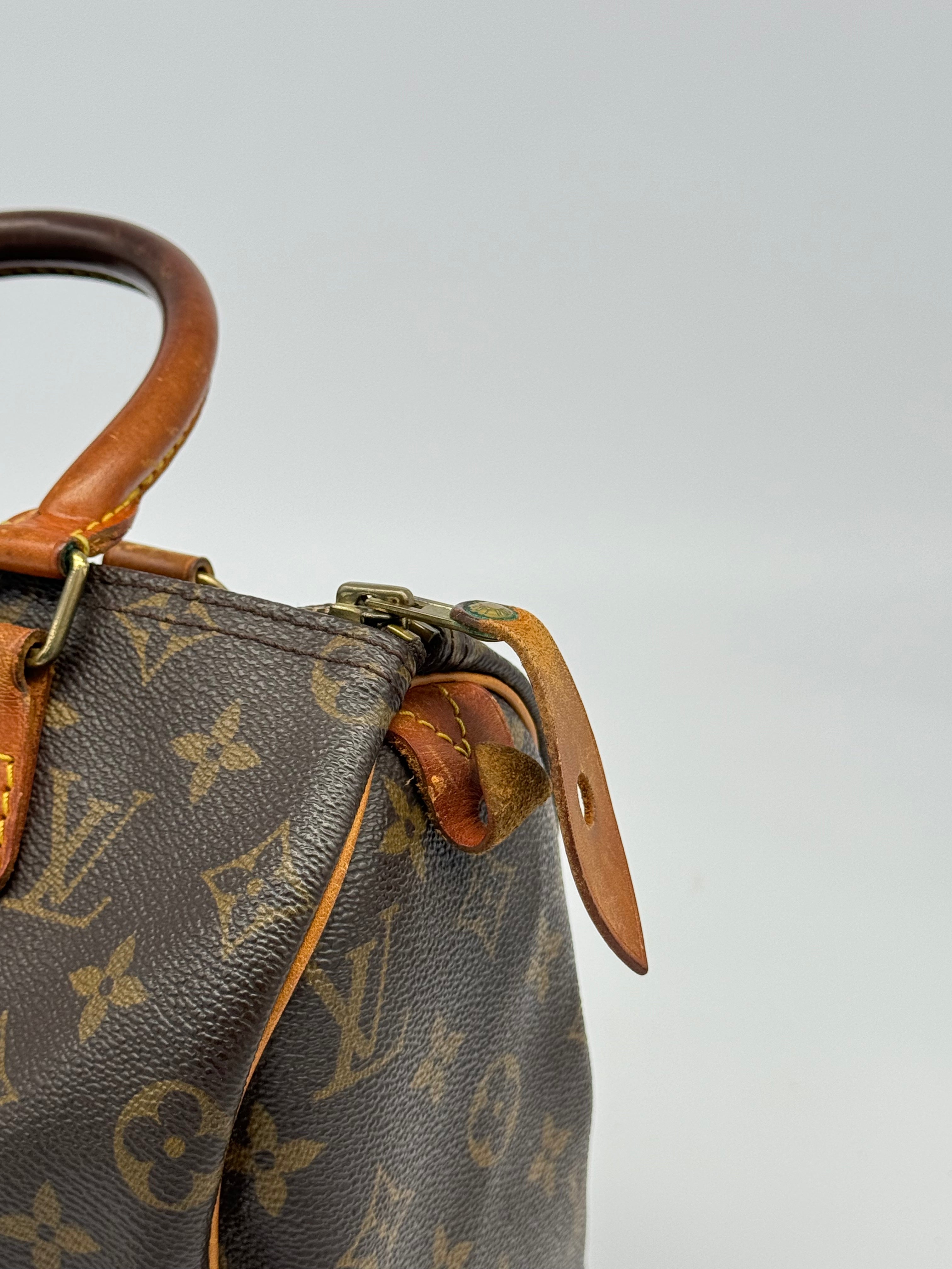 Louis Vuitton Speedy 25