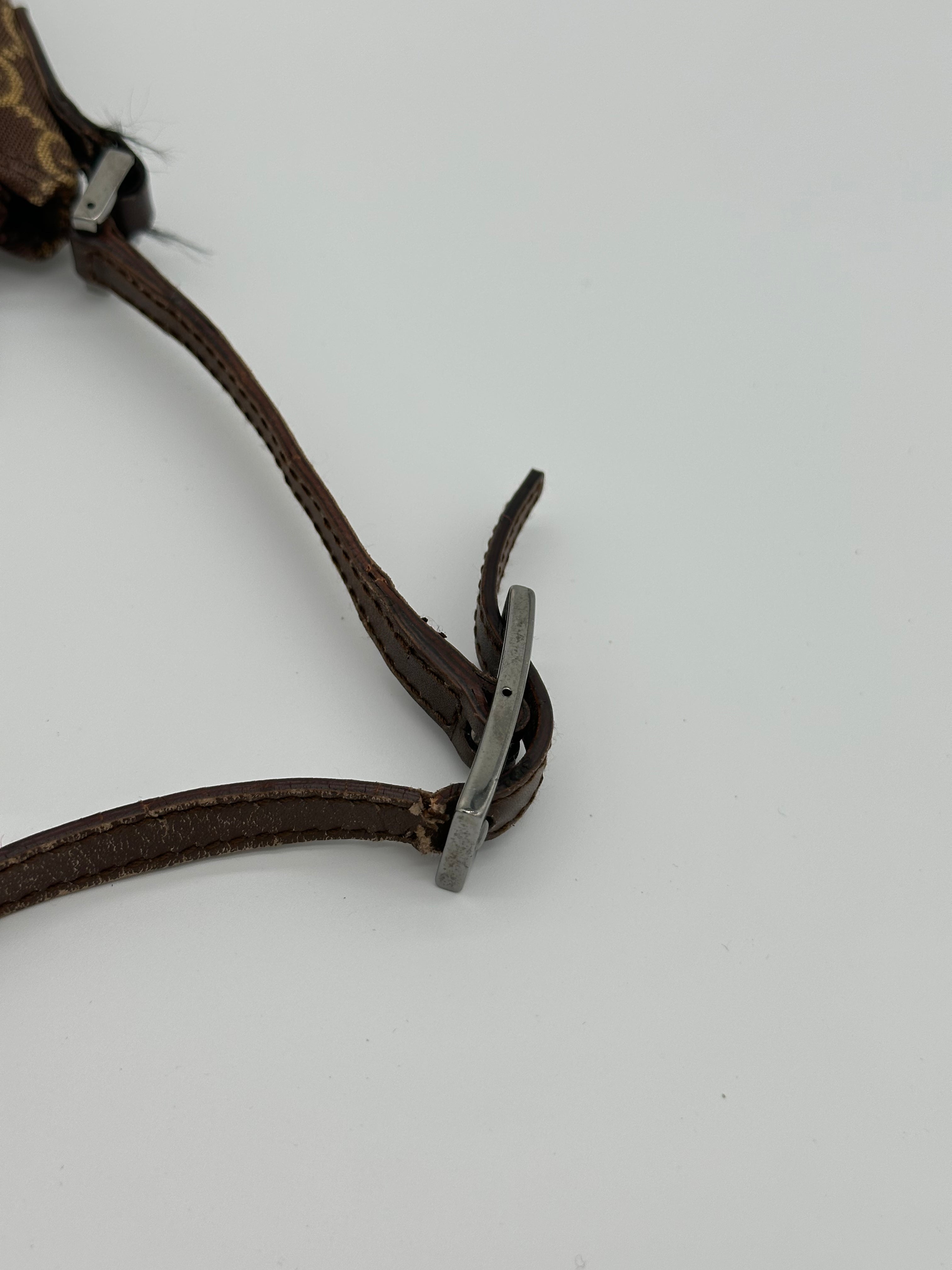 Gucci Canvas Baguette